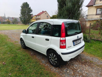 Fiat Panda Jurków - zdjęcie 4