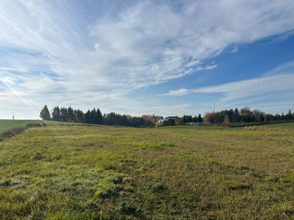 Działka w zielonej części miasta – idealna pod dom Poznań - zdjęcie 7