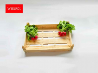 Opakowania do rzodkiewki / Skrzynki do rzodkiewki Wielichowo - zdjęcie 5