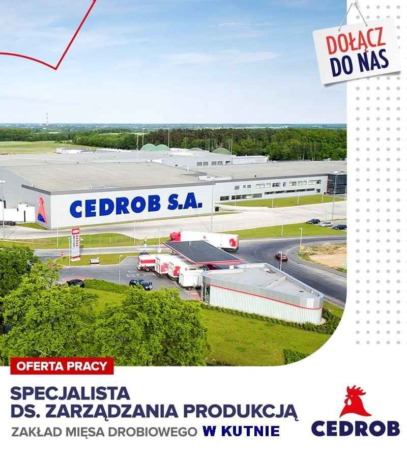 Specjalista ds. Zarządzania Produkcją w Kutnie Kutno - zdjęcie 1