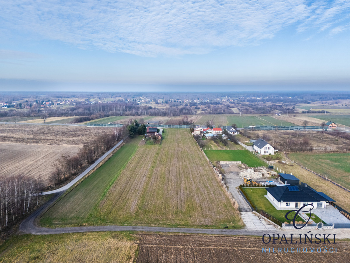 Działka inwestycyjna | Atrakcyjna lokalizacja Dąbrowa - zdjęcie 2