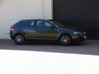 Audi A3 Klimatronic /BOSE /1,6 /mpi /102KM Mikołów - zdjęcie 4