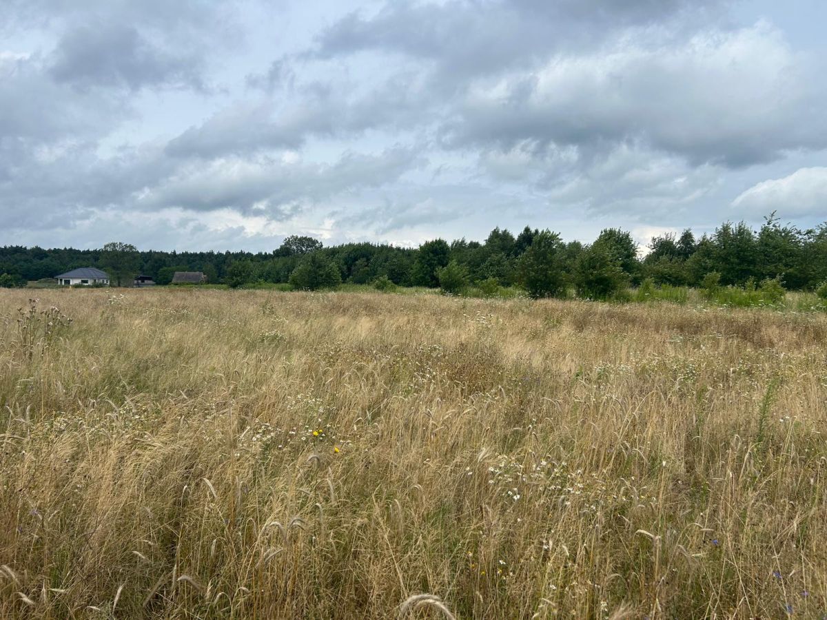 Działki budowlane z WZ, w zielonej części Poznania Poznań - zdjęcie 1