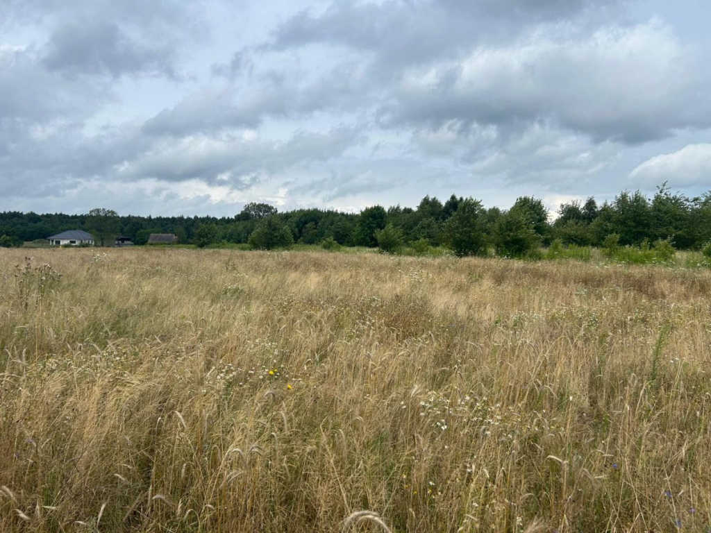 Działki budowlane z WZ, w zielonej części Poznania Poznań - zdjęcie 1