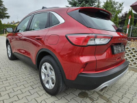 Ford Kuga III 2020, benzyna 150 KM, salon Polska, I wł. Rzeszów - zdjęcie 5