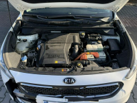Kia Niro Zielona Łąka - zdjęcie 9