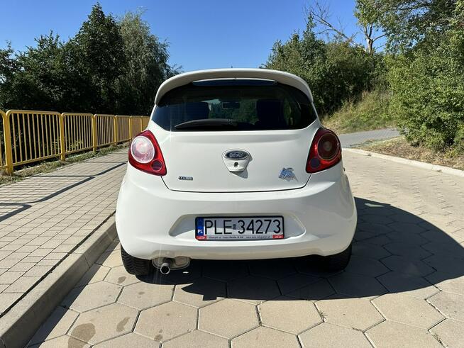 Ford KA 1.3TDCi 75KM Climtronic Niski przebieg Gostyń - zdjęcie 5