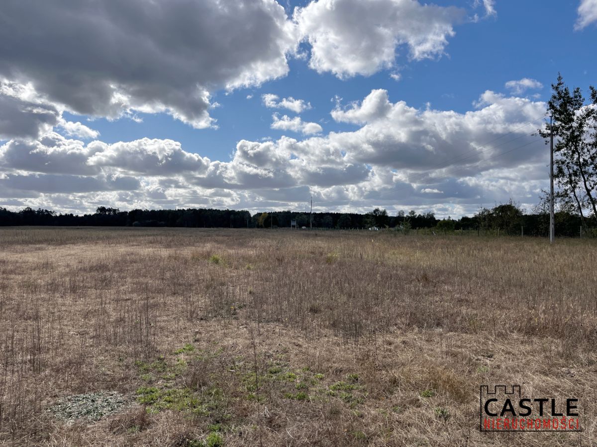Działka budowlana blisko lasu, Trzciel/Jasieniec Trzciel - zdjęcie 6