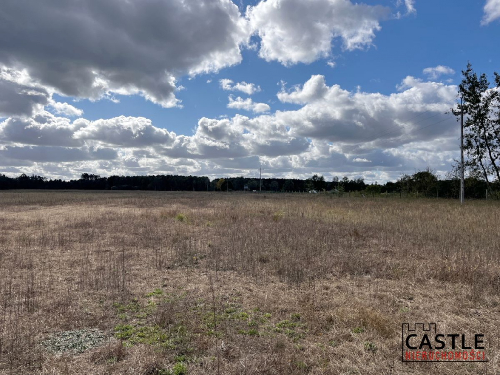 Działka budowlana blisko lasu, Trzciel/Jasieniec Trzciel - zdjęcie 6