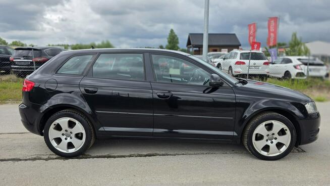 Audi A3 Climatronic   super stan nowy rozrząd Lębork - zdjęcie 4