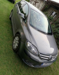 Volkswagen Golf Plus 2007 1.9 tdi Braciejowice - zdjęcie 10