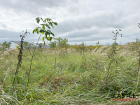 Działka budowlana – super miejsce do życia Dopiewiec - zdjęcie 3