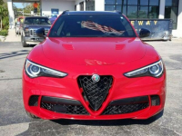 Alfa Romeo Stelvio 2022 Quadrifoglio Q4 2,9L Katowice - zdjęcie 2