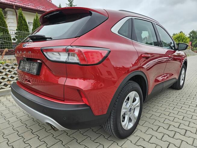 Ford Kuga III 2020, benzyna 150 KM, salon Polska, I wł. Rzeszów - zdjęcie 3