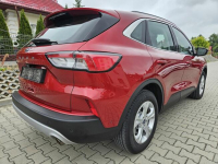 Ford Kuga III 2020, benzyna 150 KM, salon Polska, I wł. Rzeszów - zdjęcie 3