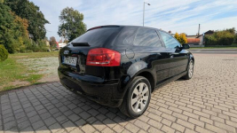 Audi A3 Biała - zdjęcie 6
