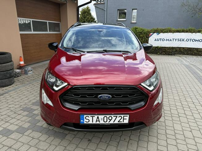 Ford EcoSport !! Rezerwacja !! Orzech - zdjęcie 2