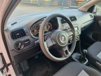 Polo Cool Trendline Siewierz - zdjęcie 11