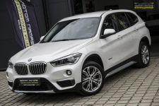 BMW X1 Xline / Ledy / Xdrive / Manetki / Gwarancja na Rok Dębogórze - zdjęcie 4