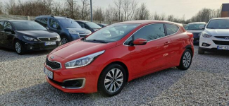 Kia Pro Cee'd Jeden Właściciel Bezwypadkowy 1.4 Płock - zdjęcie 2