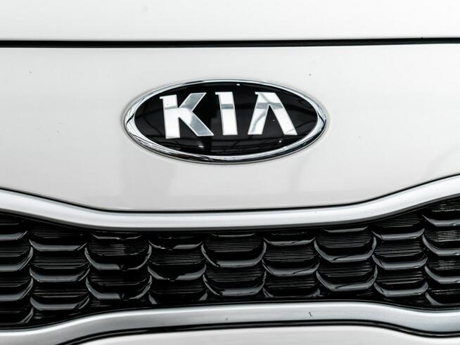 Kia Rio HB 1.2 Business Line 84KM/Manual Salon Polska Poznań - zdjęcie 11