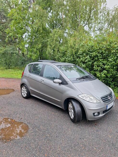 Sprzedam Lubonieczek - zdjęcie 3