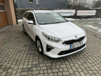 Kia Cee'd 1,4 T-GDI 140KM  Automat  CarPlay  Kamera Orzech - zdjęcie 3