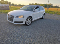 Audi A3 1.6 MPI Panorama z Niemiec