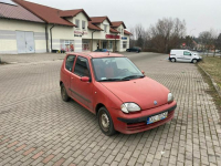 Fiat Seicento LPG 1.1 - HAK Głogów - zdjęcie 2