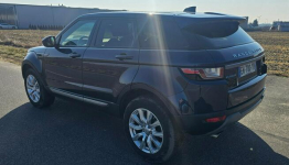 Land Rover Range Rover Evoque 97000km !! Pleszew - zdjęcie 5