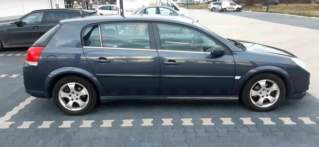 Opel Signum 1.9 CDTI 150km Poznań - zdjęcie 2