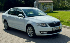 Škoda Octavia dsg/navi/sport/aso/gwarancja Ruda Śląska - zdjęcie 2