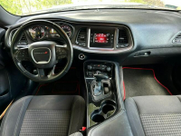 Dodge Challenger 3.6 V6 309KM | Pakiet wizualny SRT| Oklejony folią Szczecin - zdjęcie 8