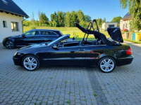 CLK 200 KOMPRESOR Avantgarde Słupsk - zdjęcie 6