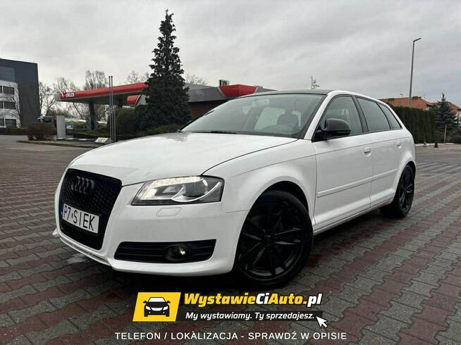 Audi A3 Telefon: 733_916_297 Lokalizacja: Leszno Leszno - zdjęcie 2