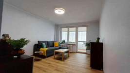 1pok, 30met, okolice Sienkiewicza PO REMONCIE (Wrocław) Śródmieście - zdjęcie 2