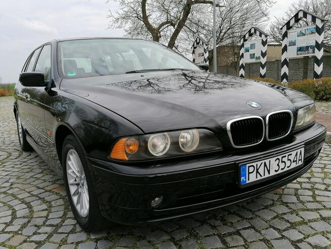 BMW 530d * lift * 2003 * 3.0 diesel 193 km * Możliwa Zamiana Strzałkowo - zdjęcie 1