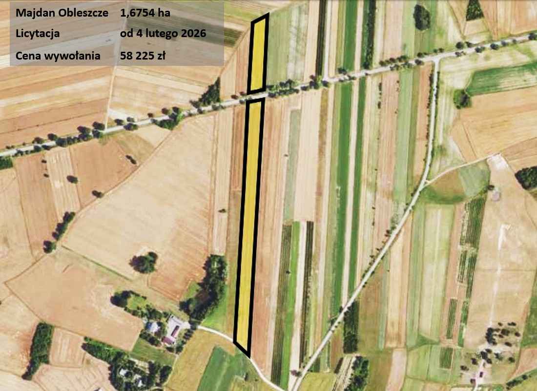 Rolna, dostęp do drogi, licytacja komornicza Majdan-Obleszcze - zdjęcie 1