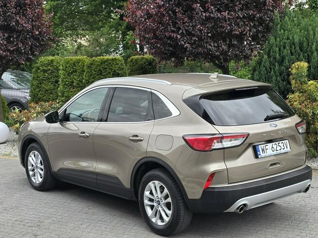 Ford Kuga 1.5 EcoBlue 120KM Titanium / Salon PL I-właściciel Skępe - zdjęcie 2