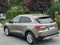 Ford Kuga 1.5 EcoBlue 120KM Titanium / Salon PL I-właściciel Skępe - zdjęcie 2