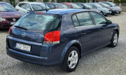 Opel Signum Skóra! Soczewka! Alu! Zamiana też! Zduńska Wola - zdjęcie 4