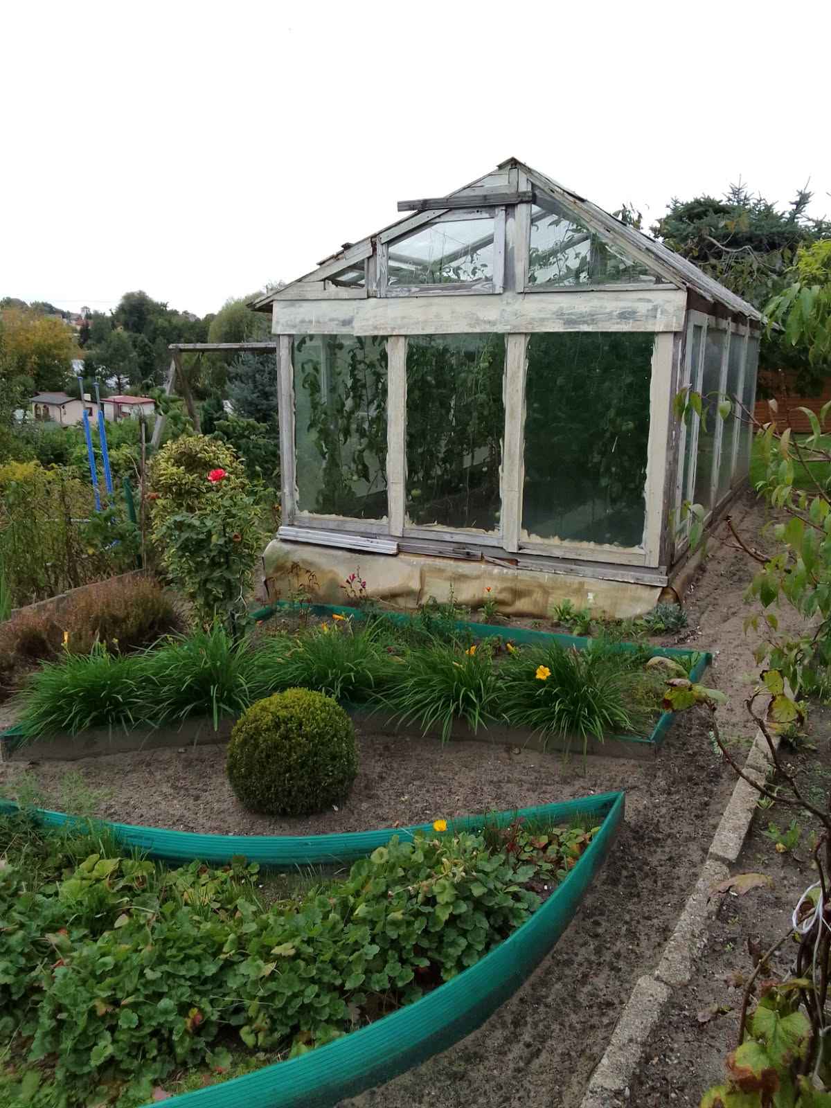 Działka rekreacyjna ROD 🍓 Iława Iława - zdjęcie 3