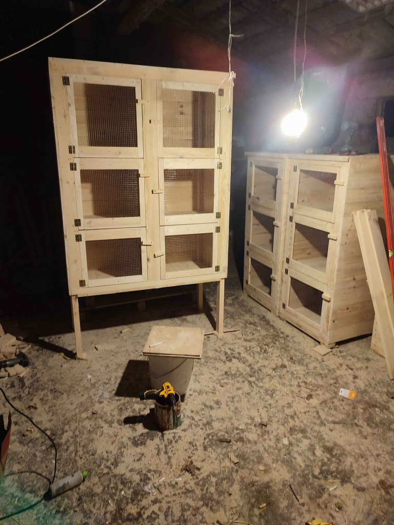 Klatki dla królików Dziadowa Kłoda - zdjęcie 10