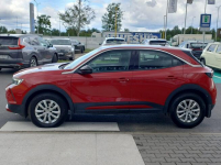 Salonowy, Bezwypadkowy, Bardzo zadbany i w ASO OPEL serwisowany Piła - zdjęcie 6