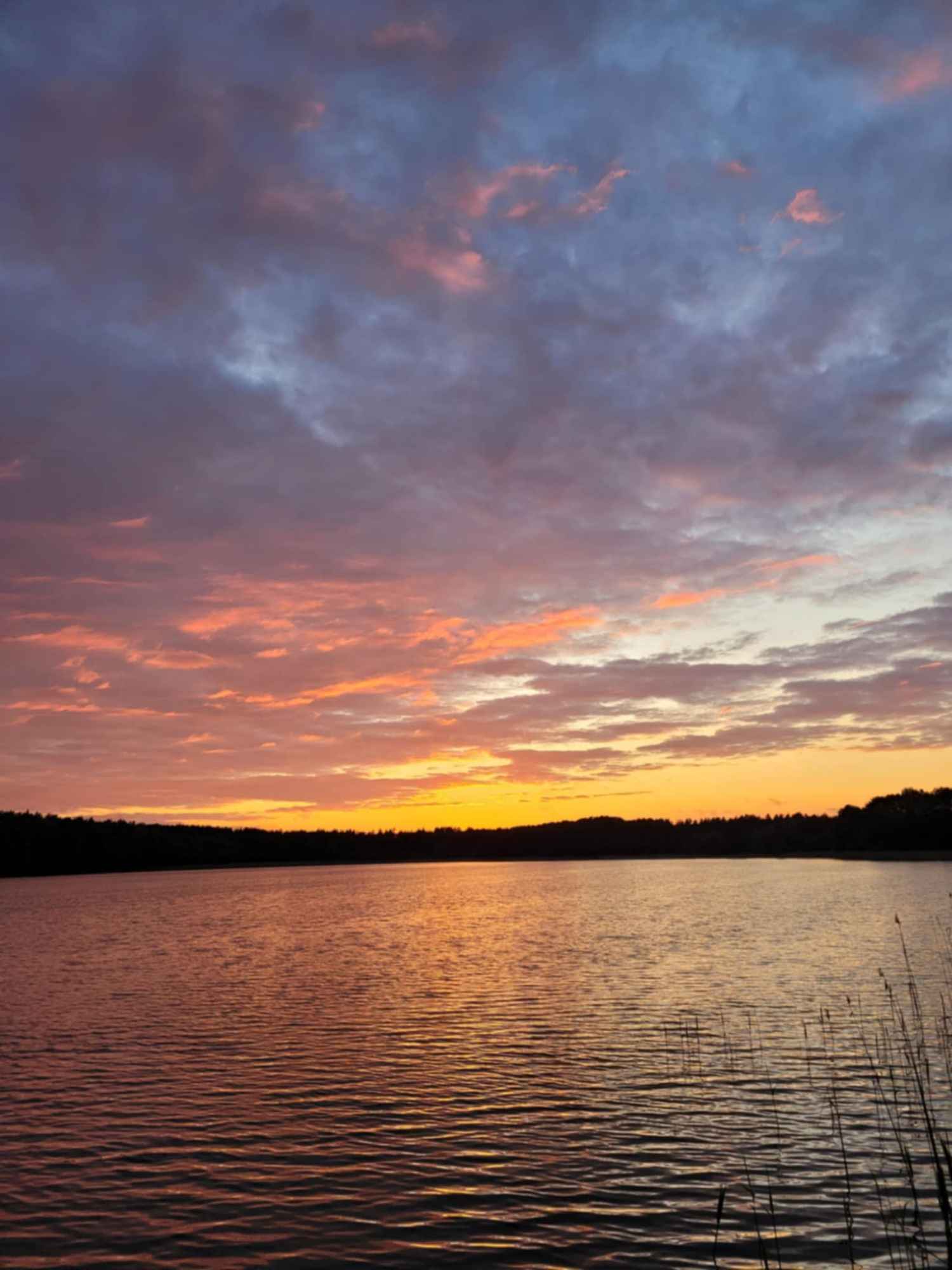 Pole kamperowe Stępień - zdjęcie 10