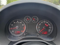 Audi A3 1.6 102 KM Salon Polska TYLKO 106000 KM Przebiegu Kl Słupca - zdjęcie 9