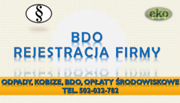 Sprawozdanie do BDO, t504746203. Pomoc, obsługa firm. Raport za odpady Psie Pole - zdjęcie 9