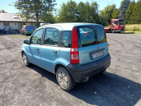Fiat Panda 1.1 03r Tarnów - zdjęcie 3