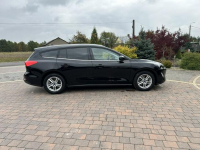 Ford Focus Jak nowy Lipówki - zdjęcie 11