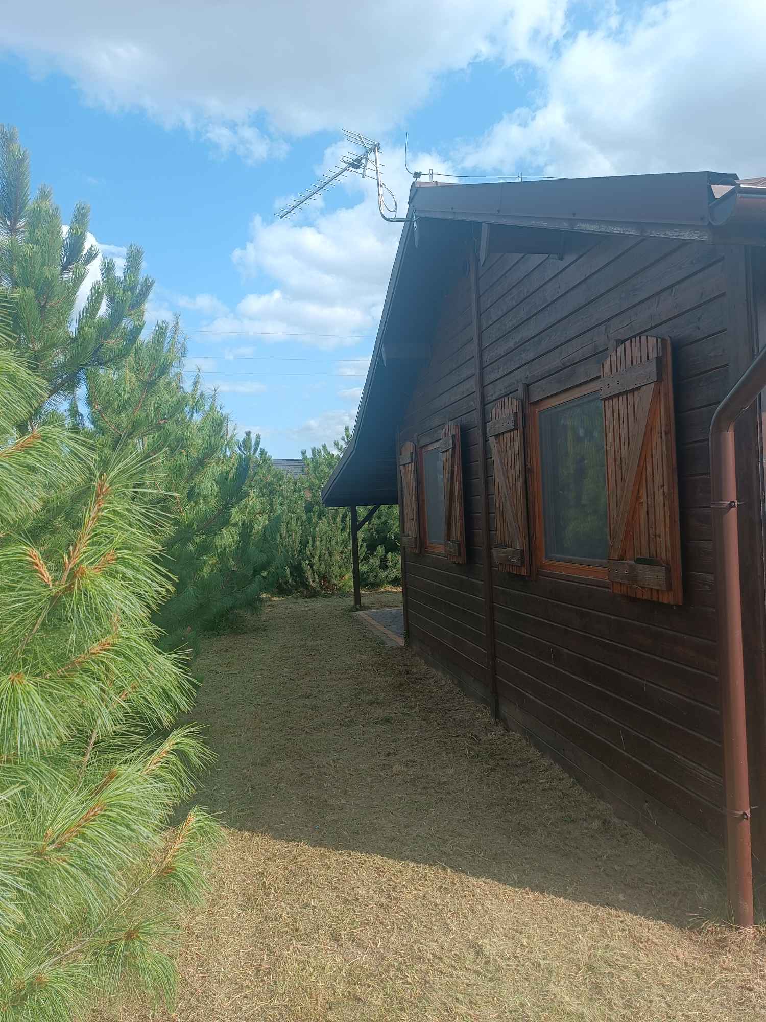 Sprzedam domek letniskowy nad jeziorem Powidzkim Kosewo - zdjęcie 2